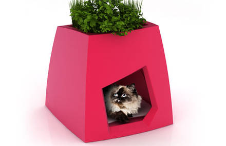 Niches design
