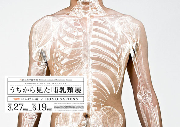 body_4