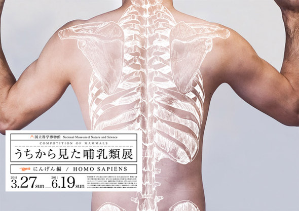 body_back_2