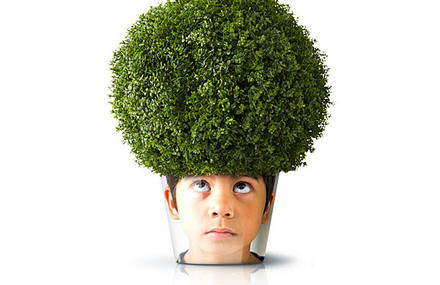 Maceteros para un cabello vegetal