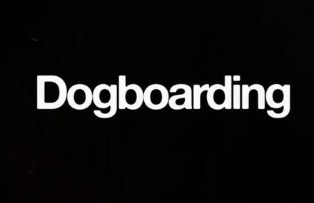 Dogboarding