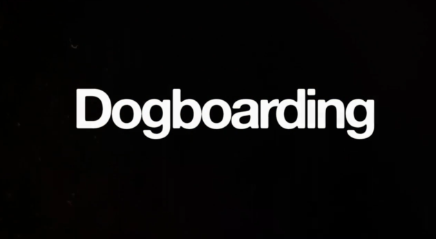 dogboarding1