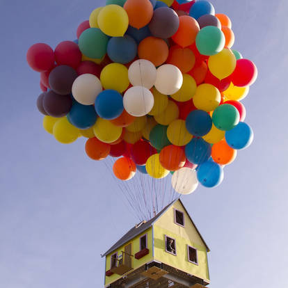 Real Life Version of Up