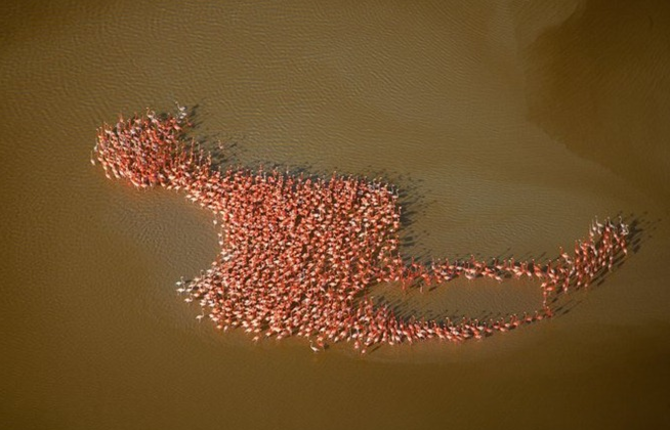 Aerial Nature