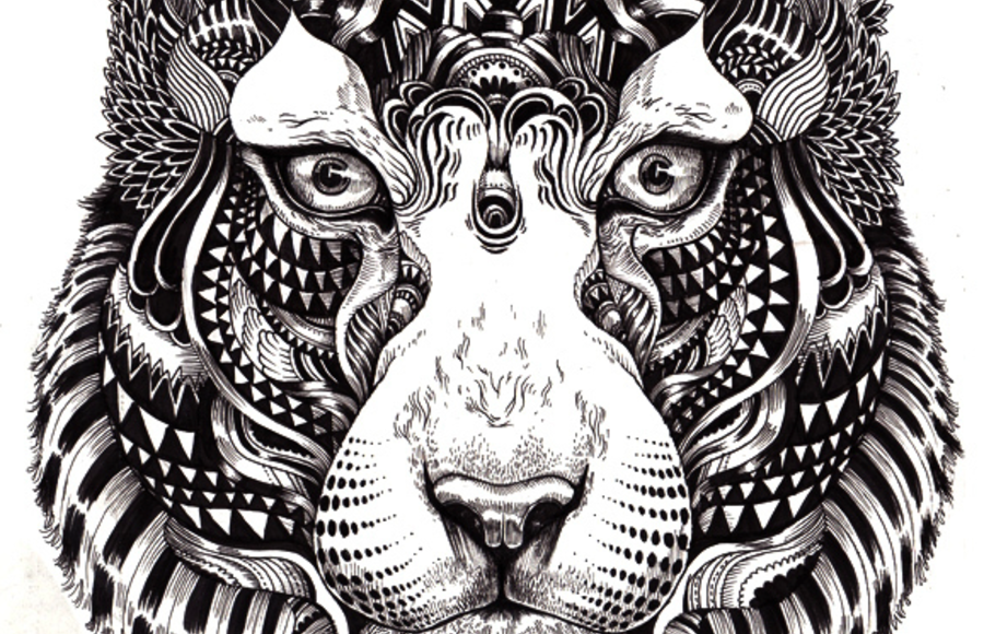 Wildlife Series