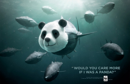 WWF – Bluefin Tuna