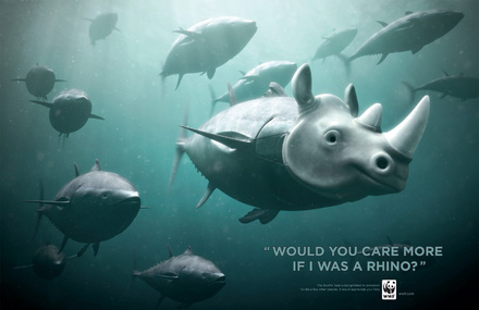 WWF – Bluefin Tuna