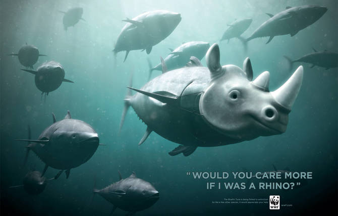 WWF – Bluefin Tuna