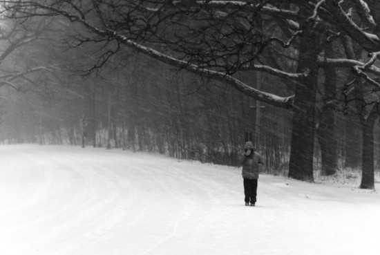 blizzard10 blizzard10