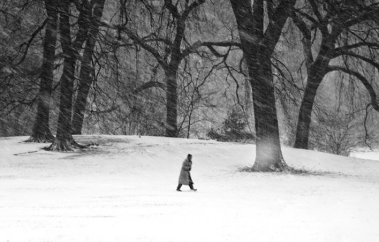 blizzard11 blizzard11