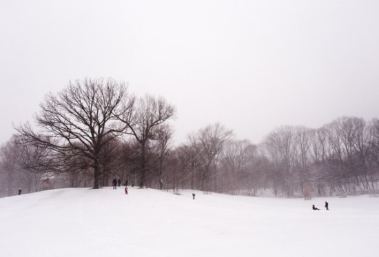 blizzard12 blizzard12