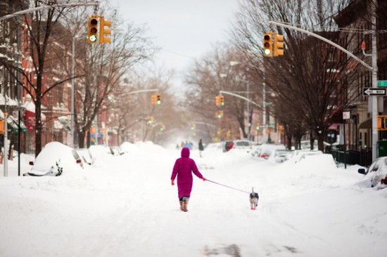 blizzard14 blizzard14