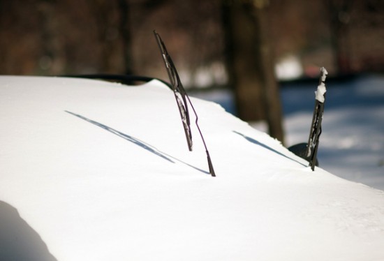 blizzard3 blizzard3