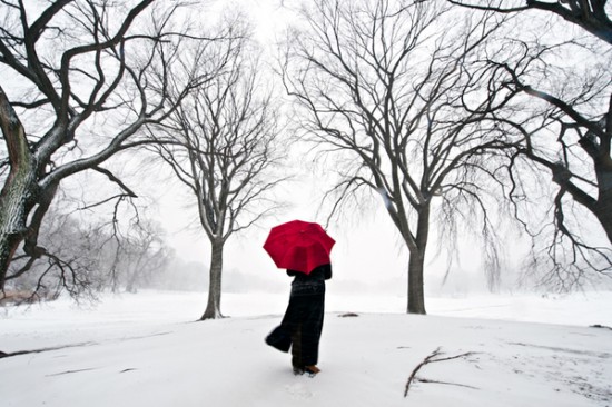 blizzard5 blizzard5