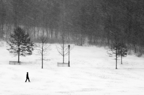 blizzard9 blizzard9