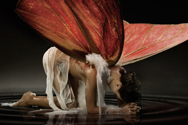 bodies10-copie