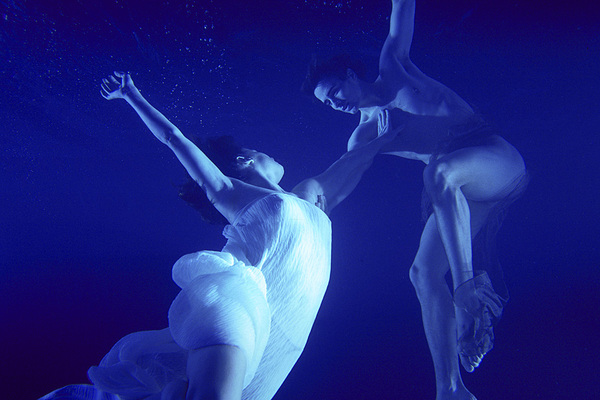 bodies6