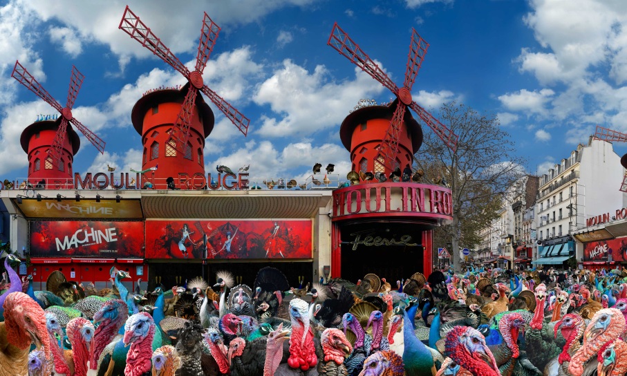 french-cancan