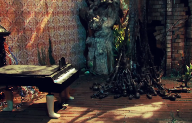 Neomorphus Film