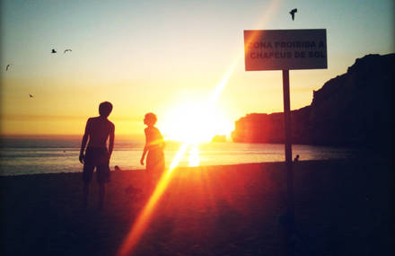 Shadows Of Life