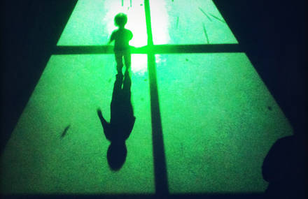 Shadows Of Life