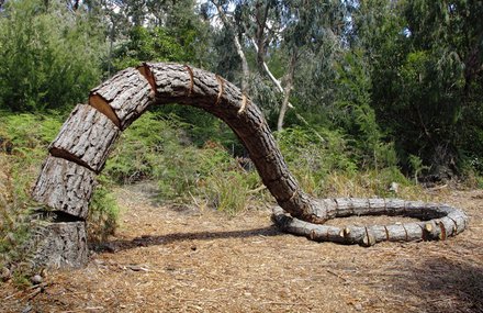 Segmented Sculptures