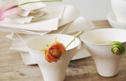 Paper Plates