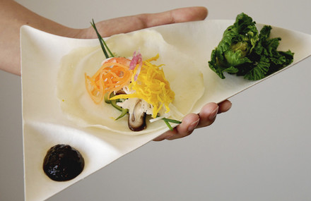Paper Plates