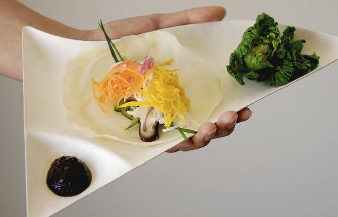 Paper Plates