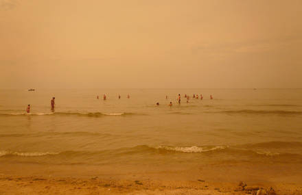 Wanderland Project