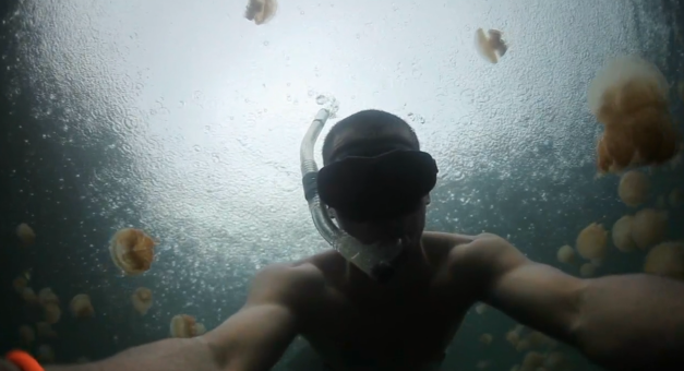 jellyfish-lake3