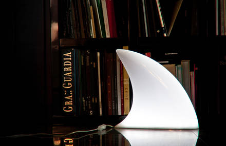 Lamp Shark