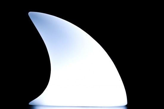 shark_03 shark_03