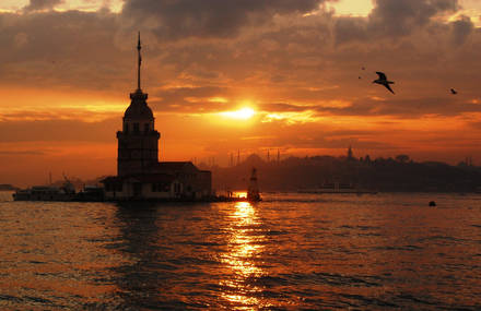 Tales from Istanbul