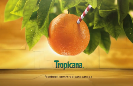 Tropicana Flip Book