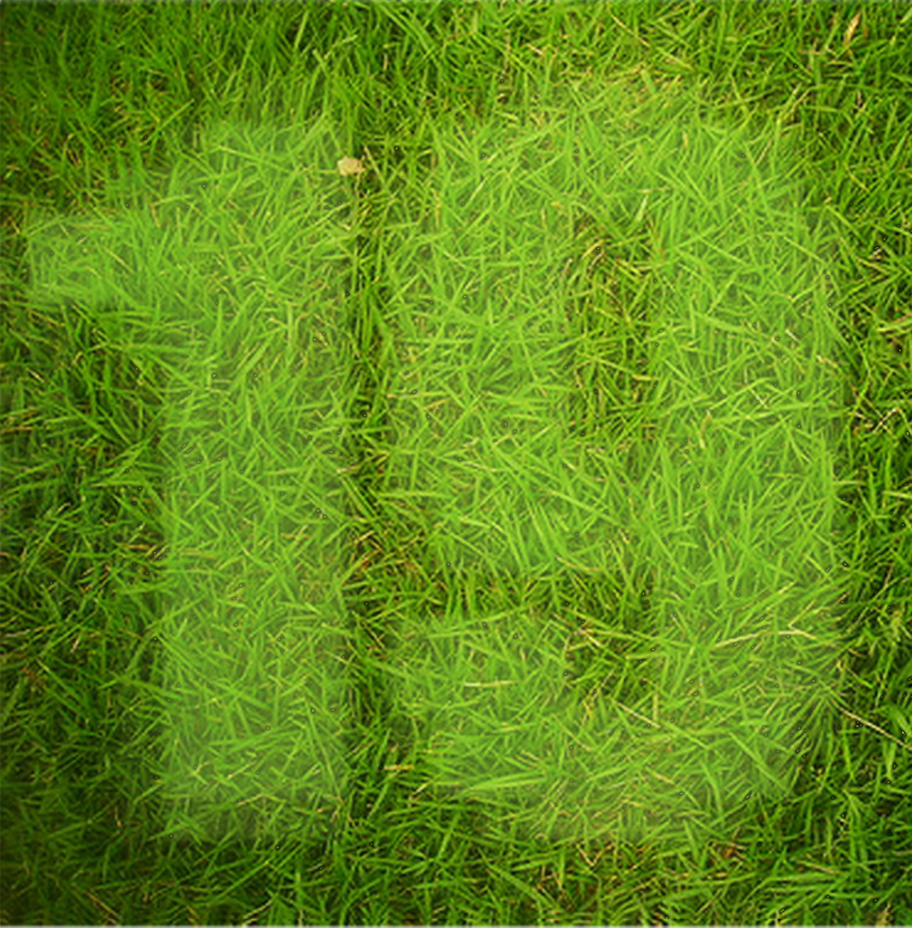19web
