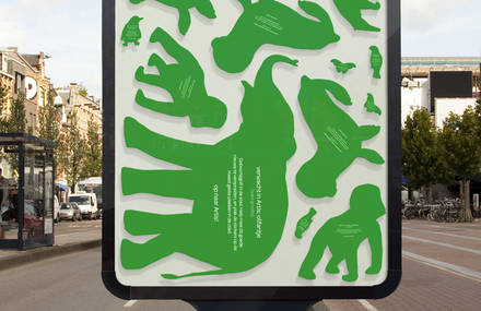 Amsterdam Zoo Campaign