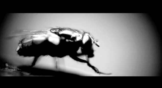 capture-de28099ecran-2011-08-12-a-103234