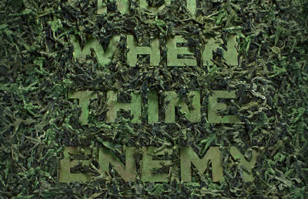 New(er) Testament