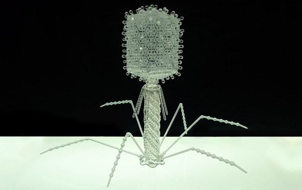 harmful-viruses-made-of-beautiful-glass4