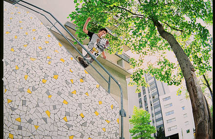 Skate-Archi
