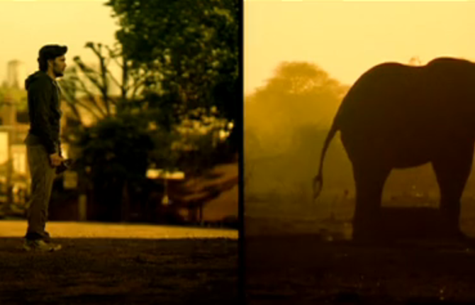 WWF – The world is where we live