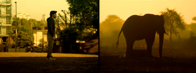 wwf-the-world-is-where-we-live2