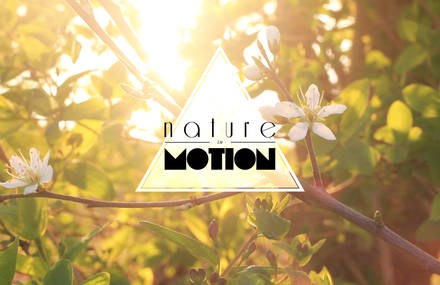 Nature in motion
