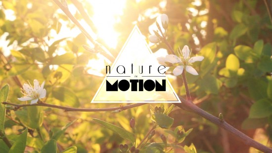 nature-in-motion_mignature2_022931 nature-in-motion_mignature2_022931