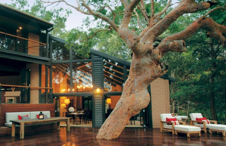 sydney-beachhouse-tree-deck001