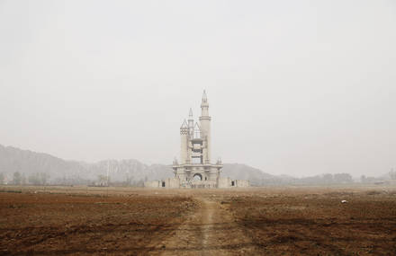 Wonderland Photography
