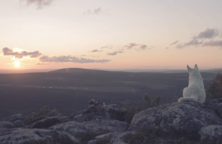 Magenta Skycode – Kipling