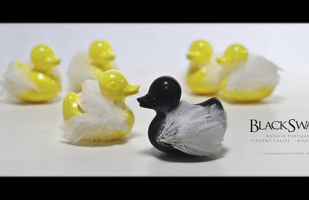 Black Swan