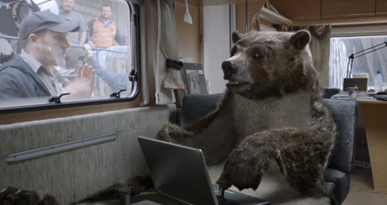 bear001